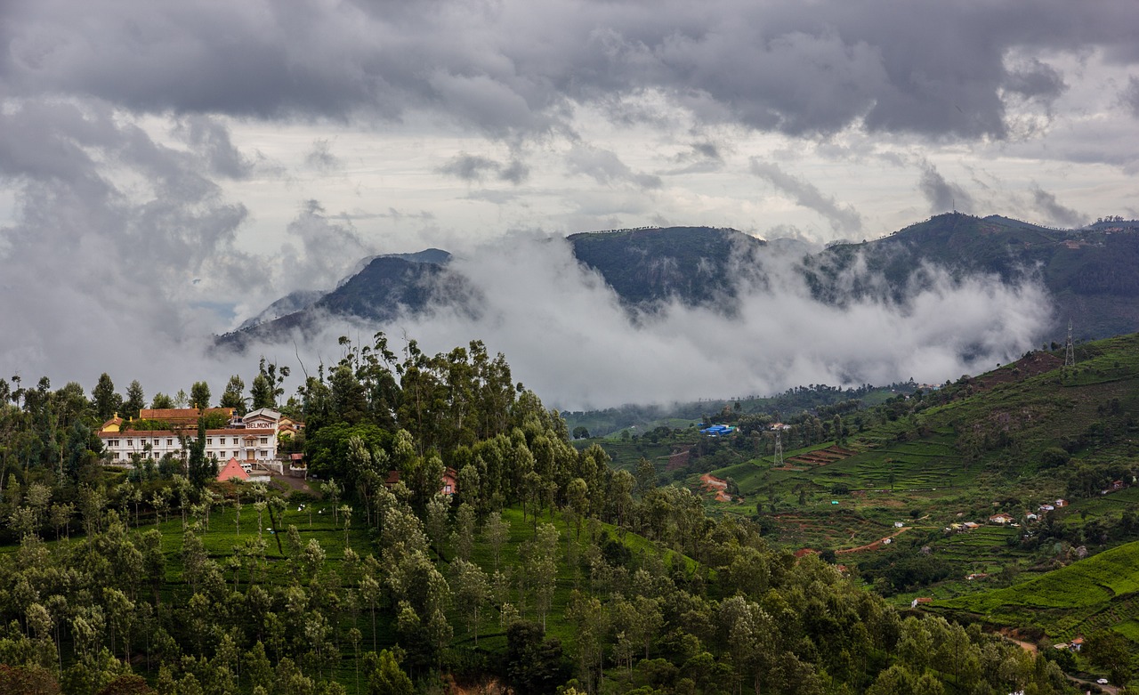 6 Days from Ooty to Wayanad to Kozhikode